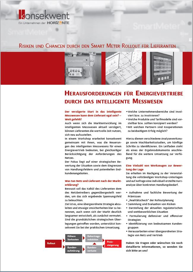 RISIKEN_UND_CHANCEN_DURCH_DEN_SMART_METER_ROLLOUT_FÜR_LIEFERANTEN
