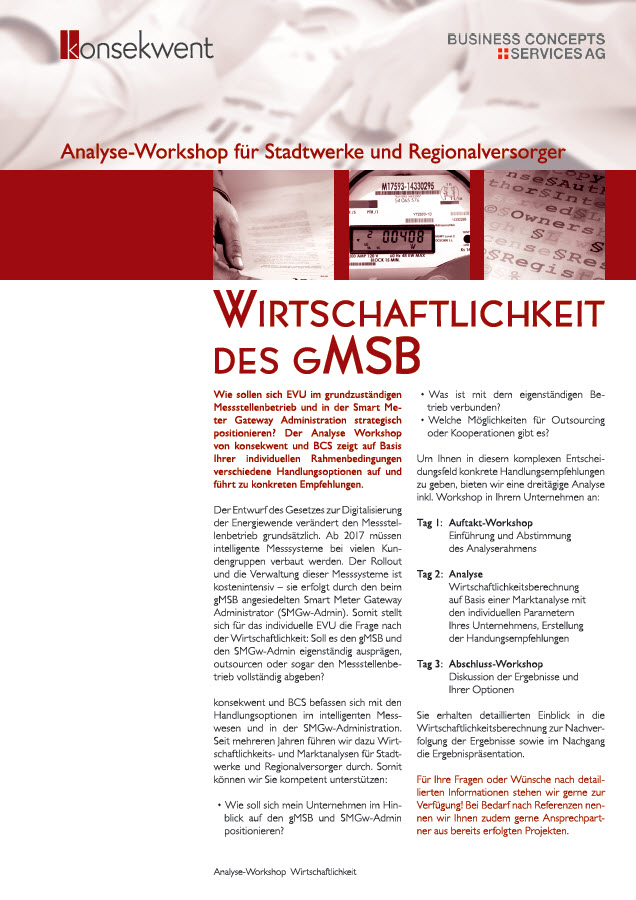 WIRTSCHAFTLICHKEIT des GMSB